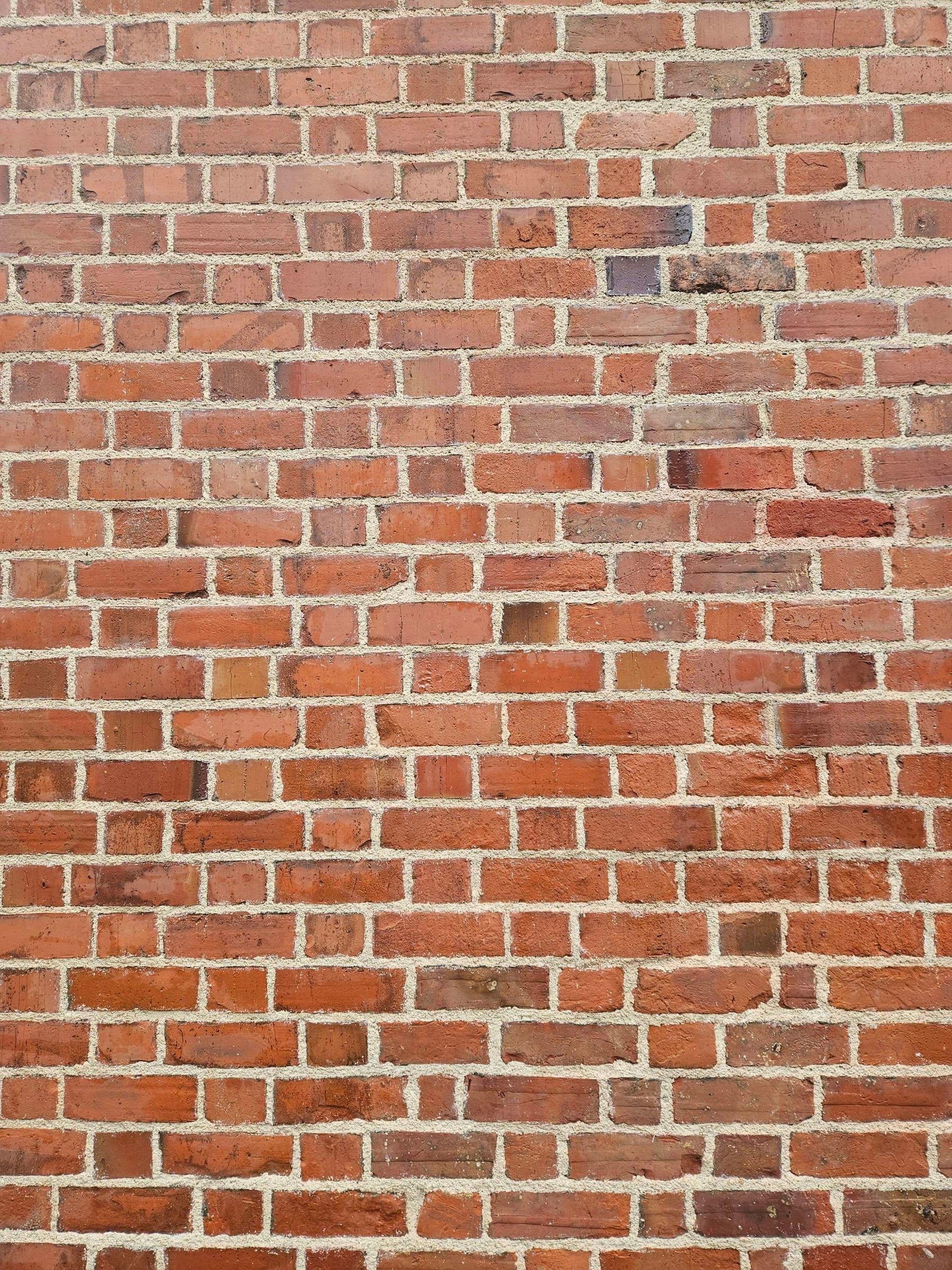 Freshly lime-repointed Flemish bond brickwork